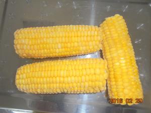 Corn on cobs, frozen
